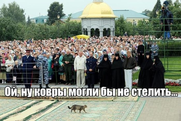 Подборка прикольных картинок (58 фото)