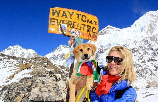 Первая в мире собака покорившая Эверест