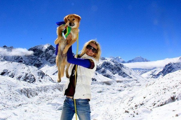 Первая в мире собака покорившая Эверест