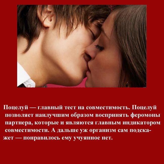 40 интересных фактов о поцелуях