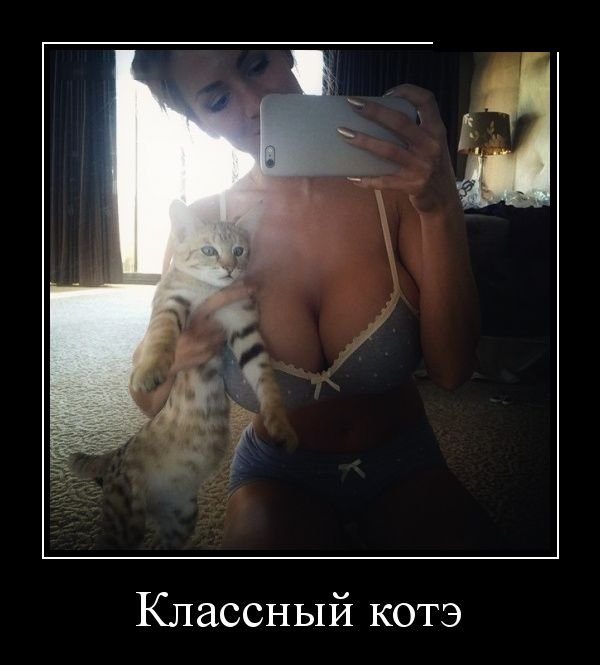 Позитивные демотиваторы (30 фото)