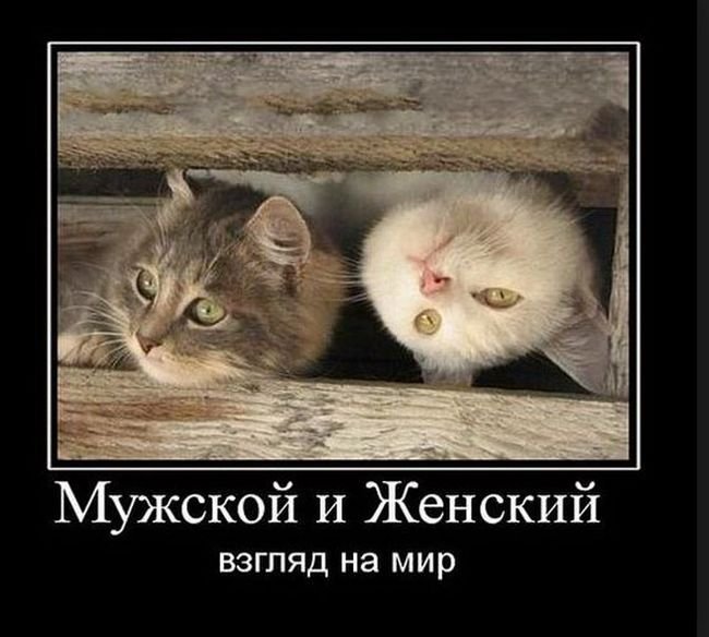 Позитивные демотиваторы (30 фото)