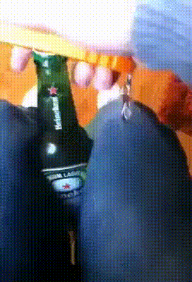 Прикольные гифки (25 гифок)