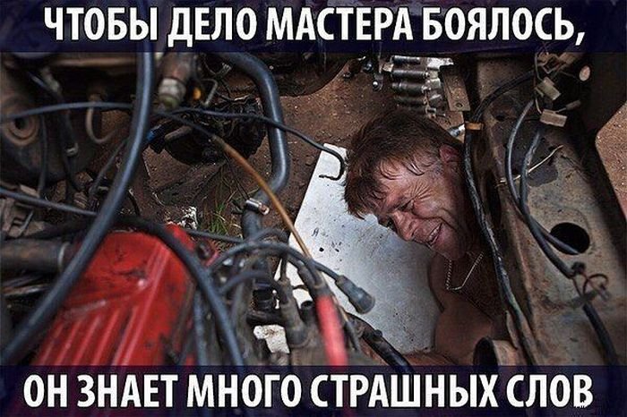 Юмор для автомобилистов и пешеходов (40 фото)