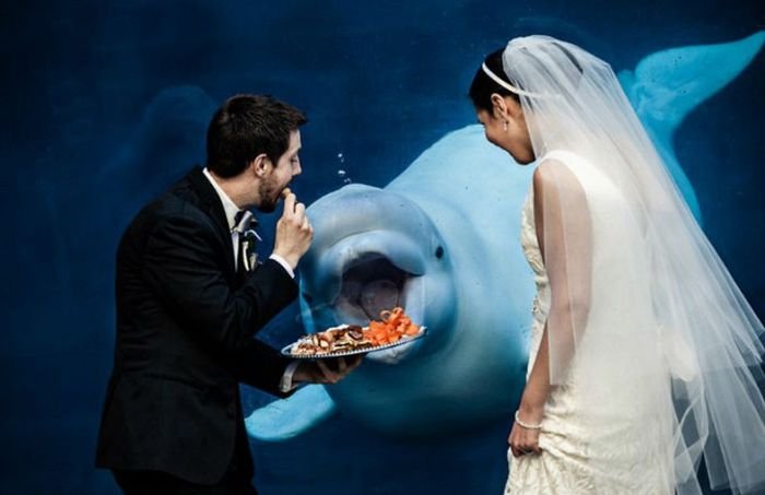 Прикольные свадебные фото (20 фото)