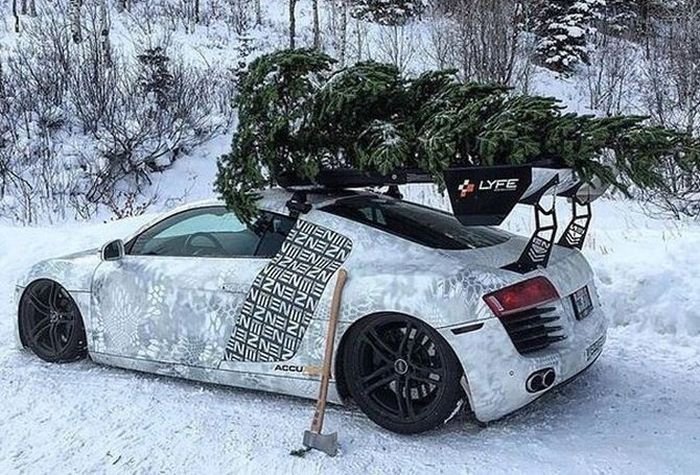 Юмор для автомобилистов и пешеходов (40 фото)