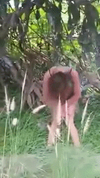 Прикольные гифки (25 гифок)