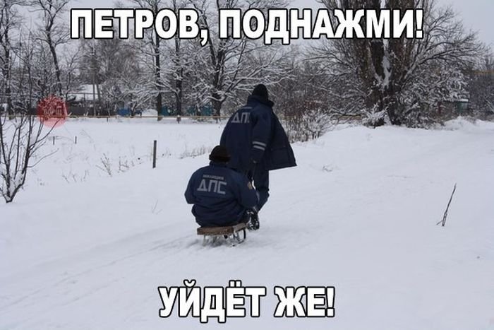 Юмор для автомобилистов и пешеходов (40 фото)