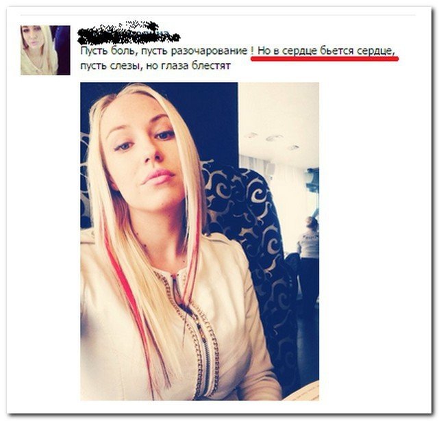 Забавные комментарии из социальных сетей (33 фото)