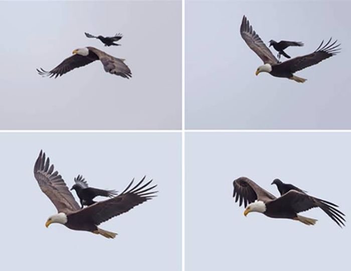 Подборка прикольных картинок (54 фото)