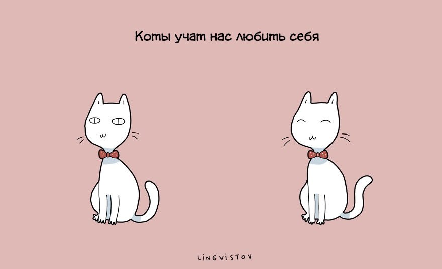 Преимущества жизни с котом