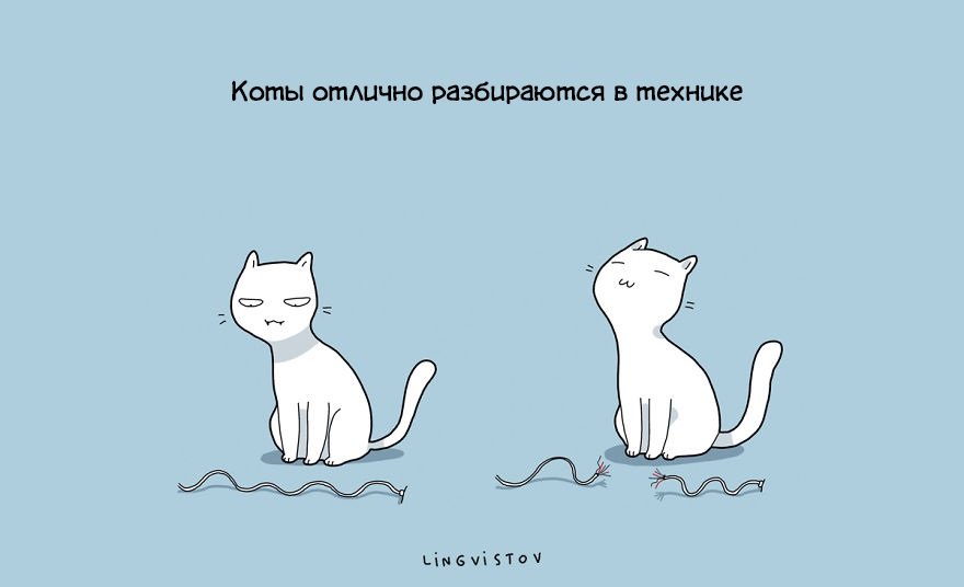 Преимущества жизни с котом
