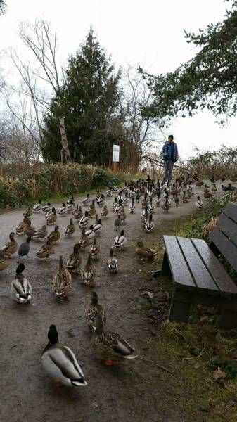 Подборка прикольных картинок (67 фото)