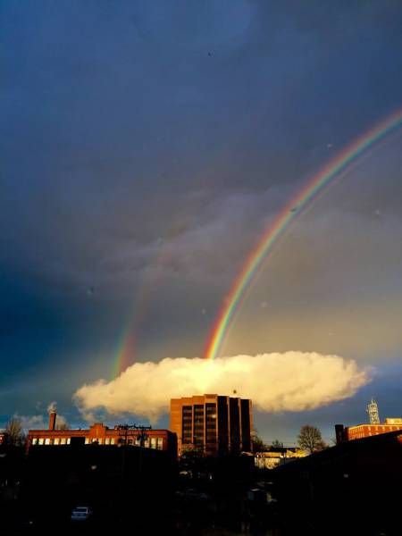 Подборка прикольных картинок (67 фото)