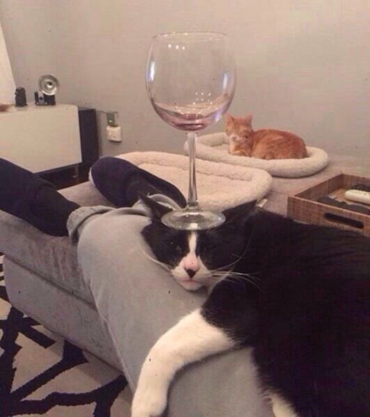 Подборка прикольных картинок (67 фото)