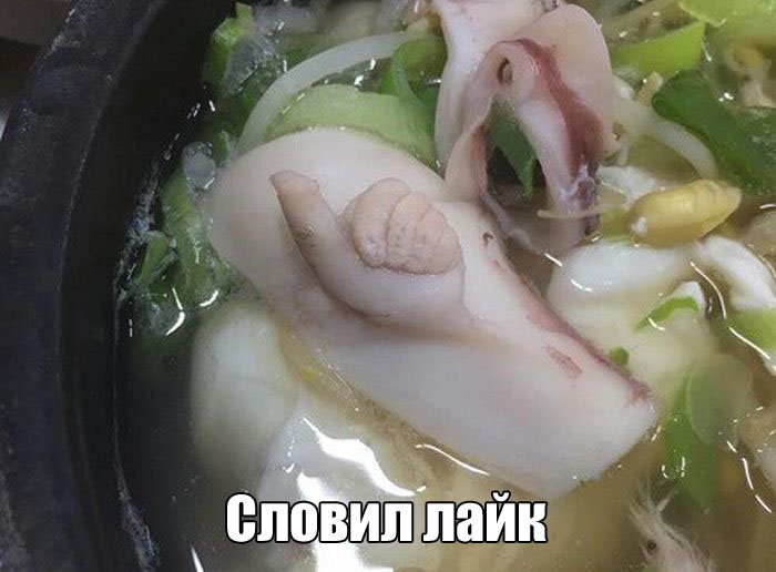 Подборка прикольных картинок (67 фото)