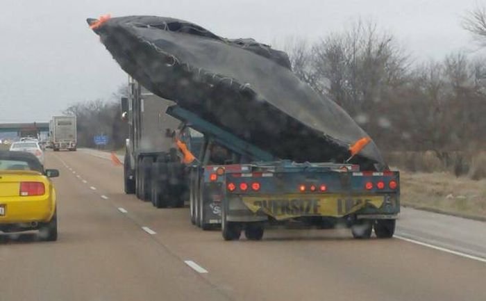 Подборка прикольных картинок (67 фото)