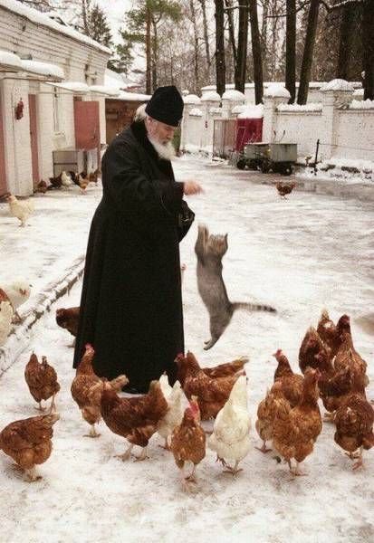 Подборка прикольных картинок (60 фото)