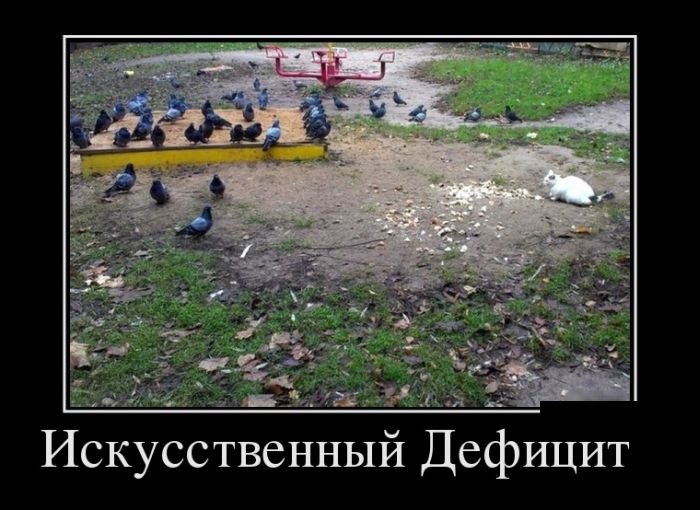 Позитивные демотиваторы (30 фото)