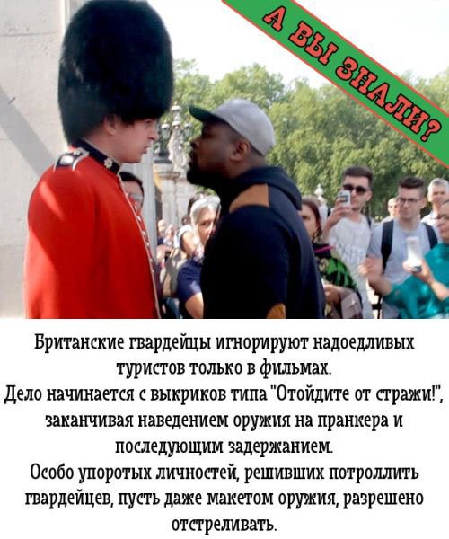 Подборка прикольных картинок (60 фото)