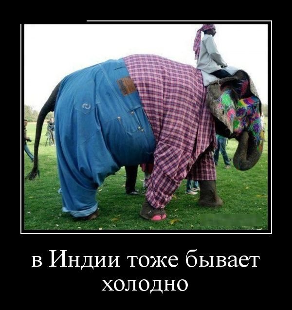 Позитивные демотиваторы (30 фото)