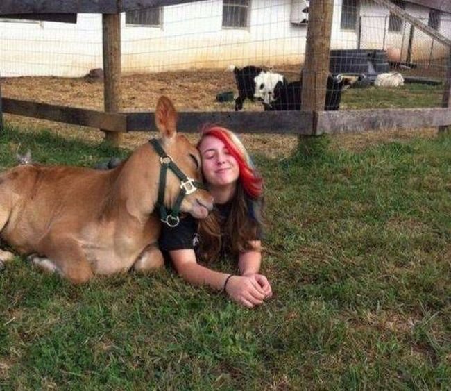 Подборка прикольных картинок (60 фото)