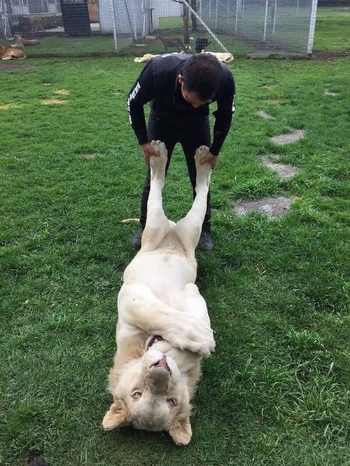 Подборка прикольных картинок (52 фото)