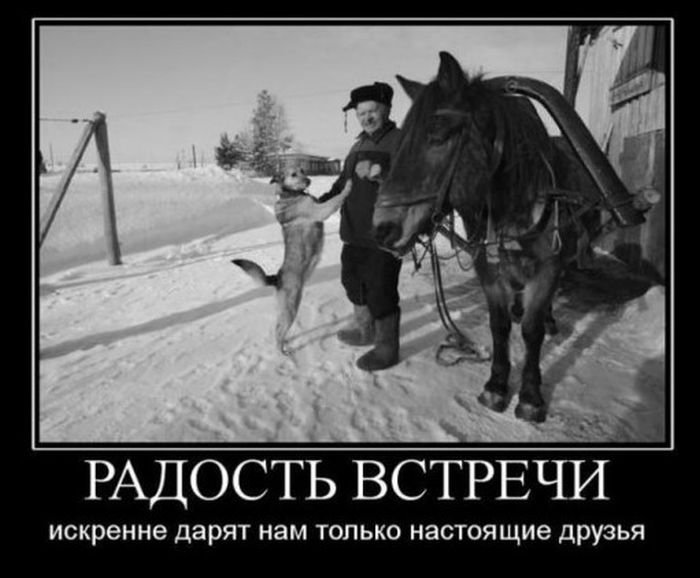 Позитивные демотиваторы (30 фото)