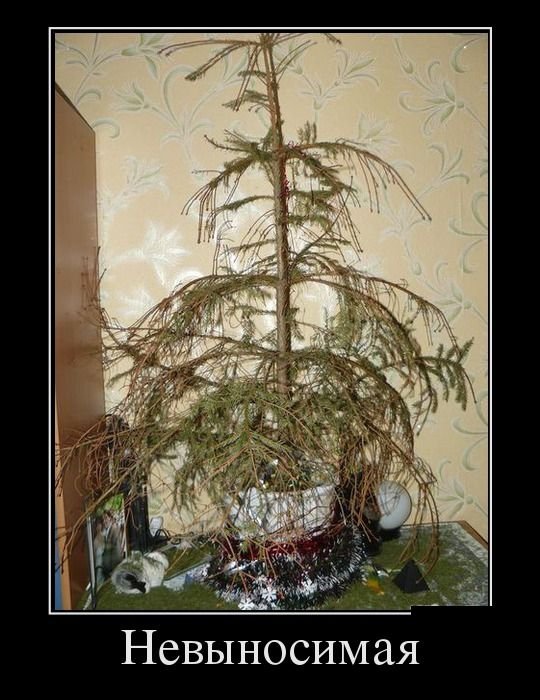 Позитивные демотиваторы (30 фото)