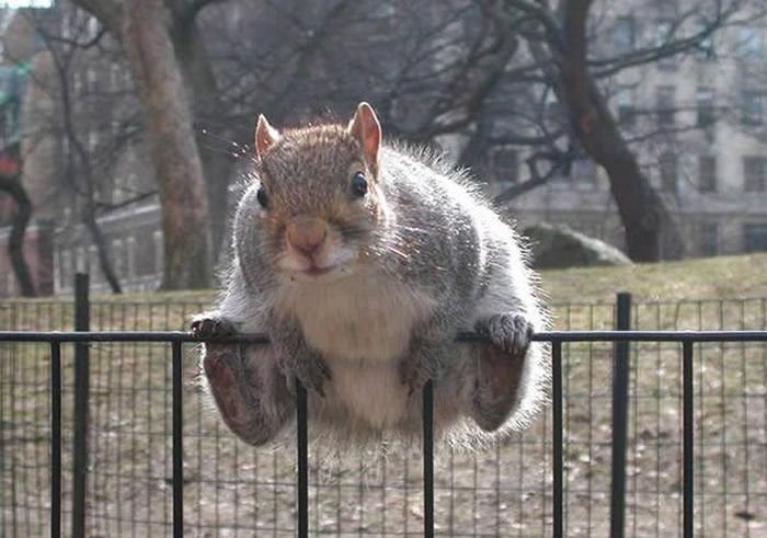 Подборка прикольных картинок (52 фото)