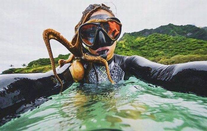 Подборка прикольных картинок (52 фото)