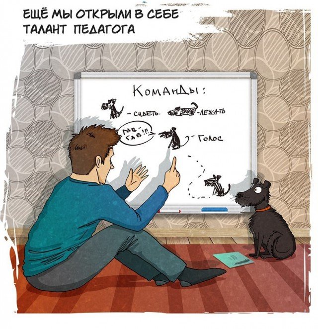 История в картинках: собака из приюта (20 картинок)