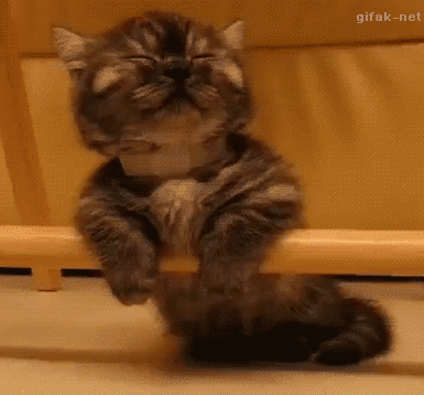 Прикольные гифки (25 гифок)