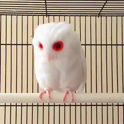 Прикольные гифки (25 гифок)