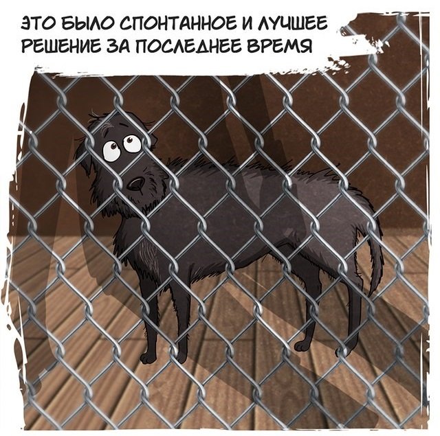 История в картинках: собака из приюта (20 картинок)