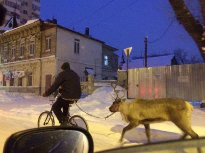 Подборка прикольных картинок (69 фото)