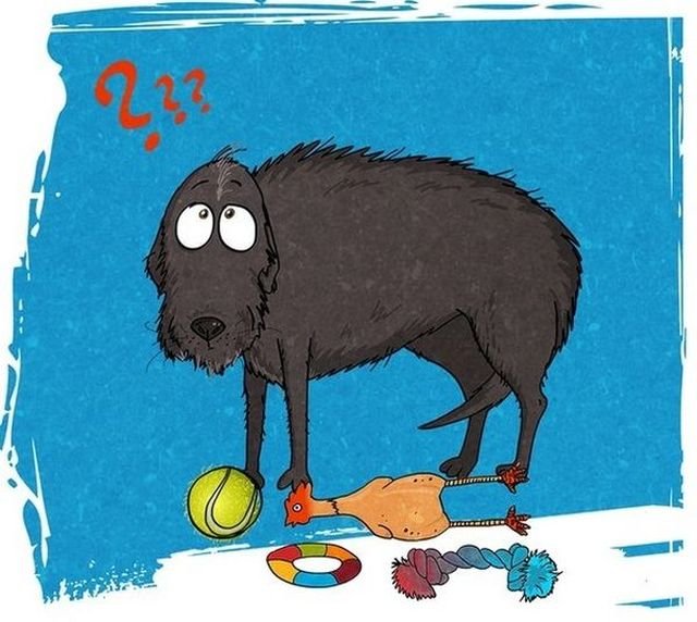 История в картинках: собака из приюта (20 картинок)