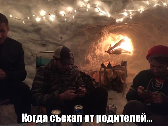 Подборка прикольных картинок (66 фото)