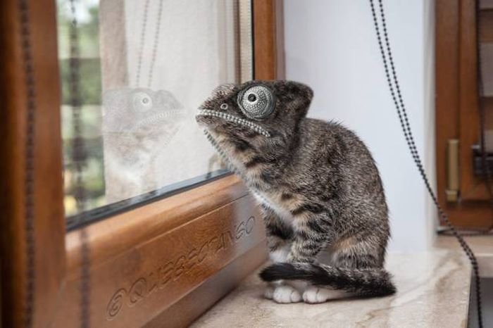 Подборка прикольных картинок (66 фото)