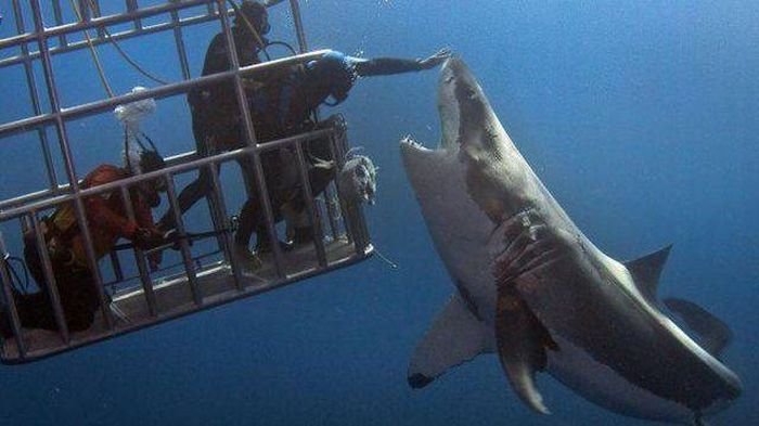 Подборка прикольных картинок (66 фото)