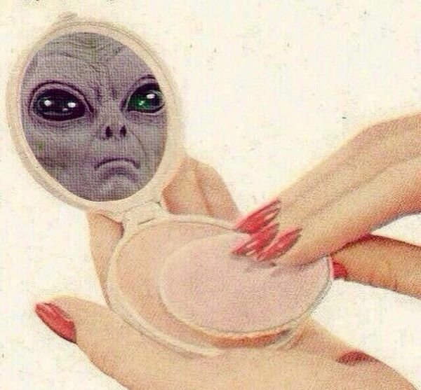 Подборка прикольных картинок (66 фото)