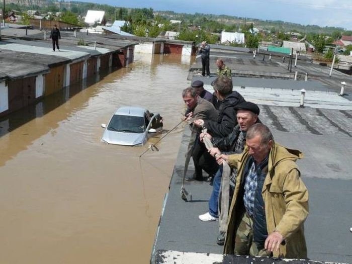 Подборка прикольных картинок (66 фото)