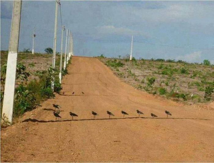 Подборка прикольных картинок (66 фото)