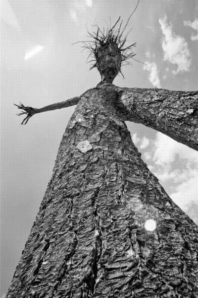 Подборка прикольных картинок (66 фото)