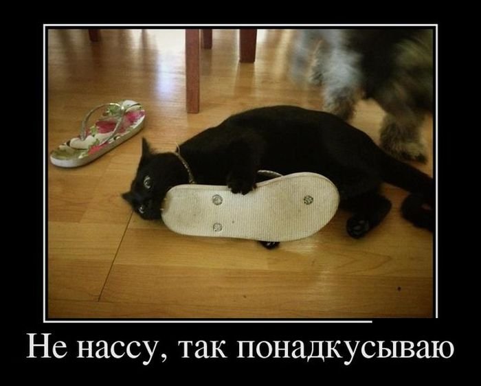 Позитивные демотиваторы (30 фото)