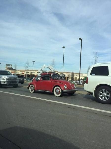 Подборка прикольных картинок (64 фото)