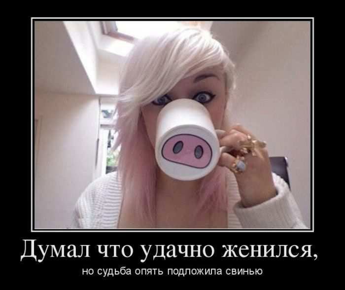 Позитивные демотиваторы (30 фото)