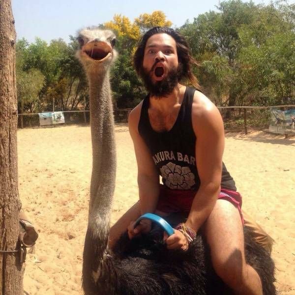 Подборка прикольных картинок (62 фото)