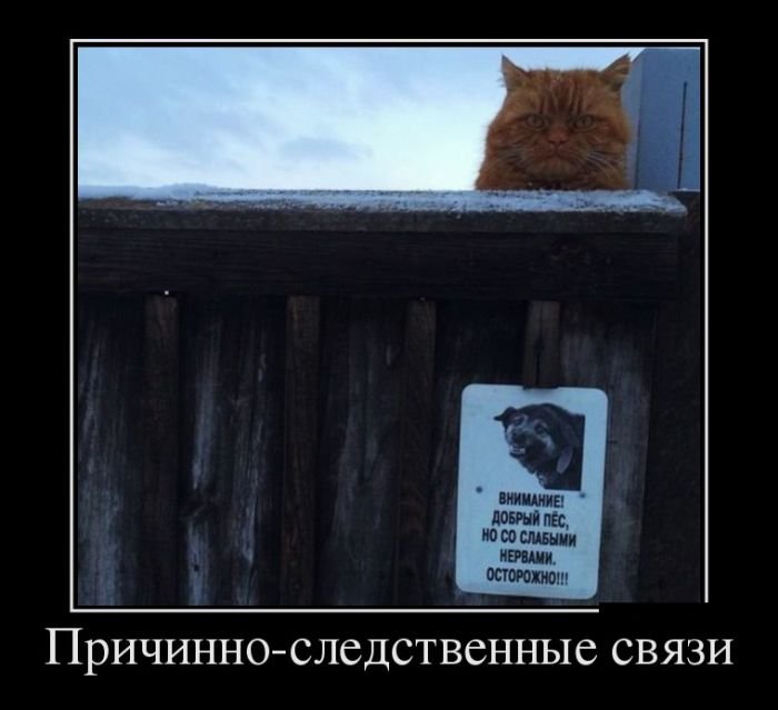 Позитивные демотиваторы (30 фото)