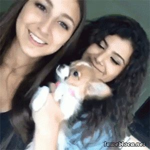 Классные гифки (20 гифок)